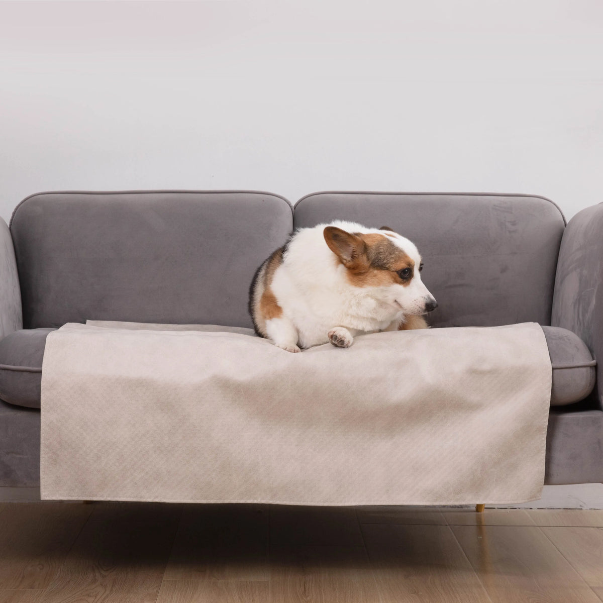 Spill-Resistant Pet Sofa Cover