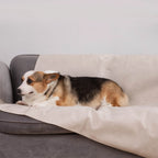 Spill-Resistant Pet Sofa Cover