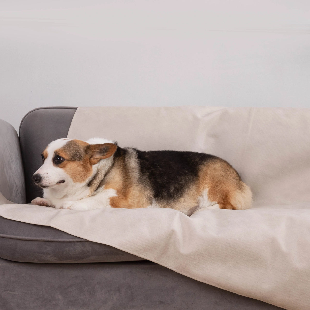 Spill-Resistant Pet Sofa Cover
