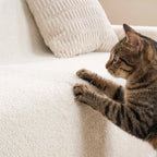 Teddy Fleece Plush Sofa Cover