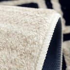 Traditional Black Cream Area Rug